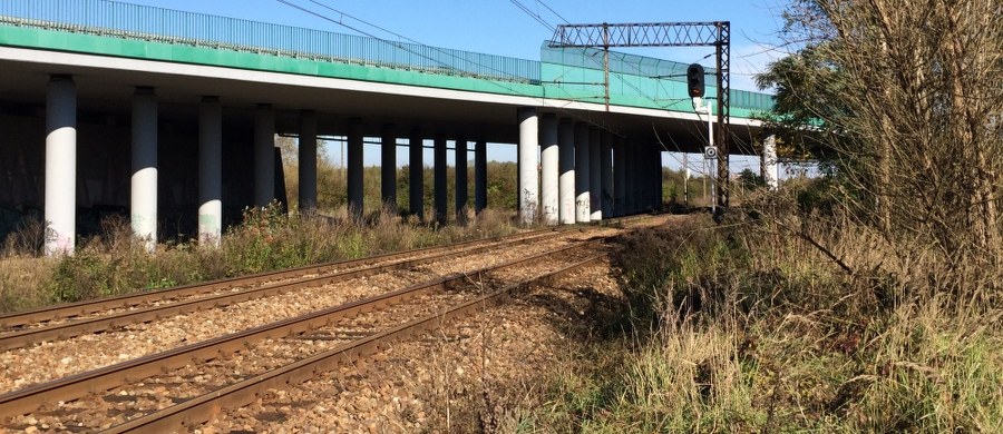 Policjant z Oleśnicy prawdopodobnie zabił swoją żonę, a później próbował popełnić samobójstwo - dowiedzieli się nieoficjalnie reporterzy RMF FM. Policja i prokuratura wyjaśniają okoliczności śmierci 30-latki. 