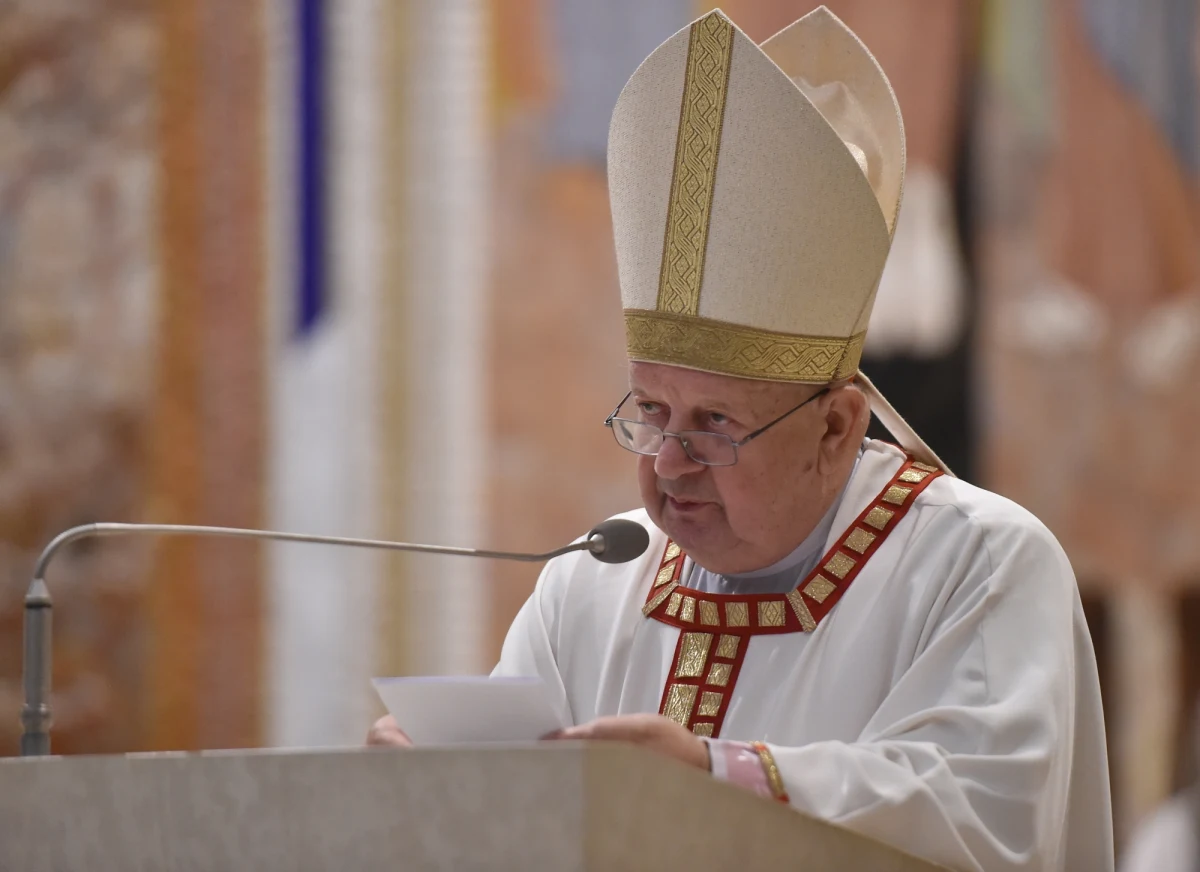 Święty Jan Paweł II powinien zostać ogłoszony patronem Europy – powiedział w Częstochowie kardynał Stanisław Dziwisz, wieloletni osobisty sekretarz papieża-Polaka. W dobie kryzysu wartości Europa potrzebuje rozszerzenia grona patronów – przekonywał.