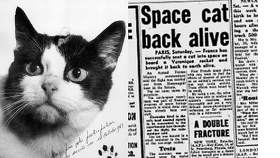 Félicette, pierwsza kotka w kosmosie, będzie miała swój pomnik?