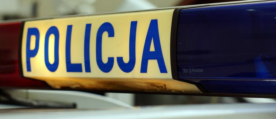 Po wypadku z udziałem ciężarówki przewożącej świnie policja przywróciła ruch na autostradzie A2 między Wrześnią a Poznaniem w kierunku Świecka. Do zdarzenia doszło w poniedziałek około południa na 196 kilometrze trasy.
