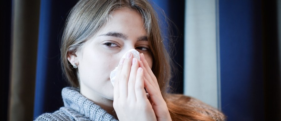 Lekarze są zgodni, że sezon grypowy jest coraz bliżej. Od początku września z objawami grypy i chorób grypopodobnych do lekarzy w całym kraju trafiło ponad 600 tysięcy osób. Hospitalizacji wymagało prawie półtora tysiąca. Niepokojące jest to, że w analogicznym okresie w tamtym roku liczby te były o jedną czwartą mniejsze - informują eksperci z Ogólnopolskiego Programu Zwalczania Grypy. "Grypie częściej niż przeziębieniu towarzyszą bóle mięśni, głowy, dreszcze, uczucie rozbicia, a także męczący kaszel" - mówią w rozmowie z RMF FM lekarze.