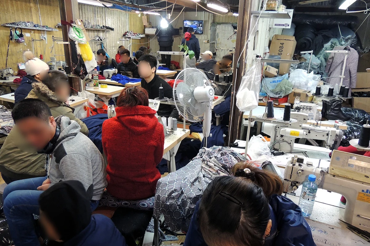 Nielegalna szwalnia zlikwidowana w Wólce Kosowskiej. W niewolniczych warunkach pracowało tam 16 Wietnamczyków - informuje radio RMF MAXXX. Pod ścisłym nadzorem i bez jakichkolwiek dokumentów szyli oni ubrania dla jednego z azjatyckich hurtowników.