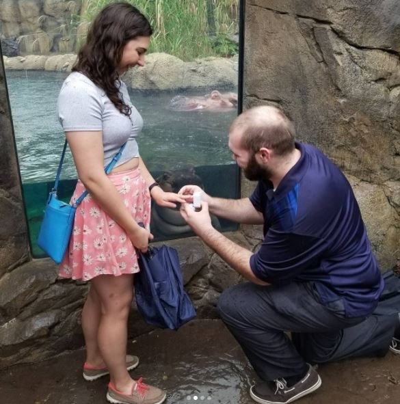 /foto. hayley_roll/Instagram /