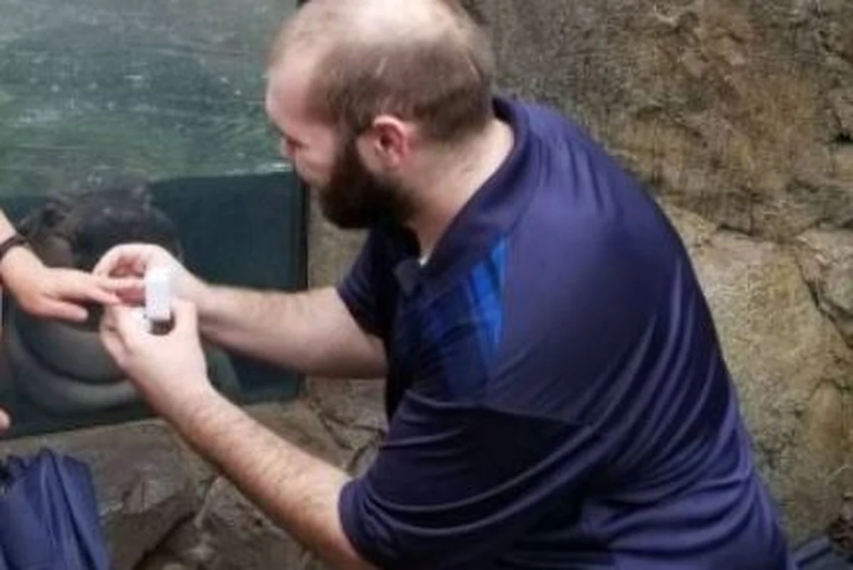 Fiona, mały hipopotam o wielkiej osobowości, stał się bohaterem internetu. A to za sprawą zdjęcia, które miało być pamiątką dla pewnej pary w chwili zaręczyn.