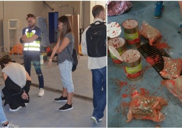 Sukces polskiej policji: Dariusz N. wpadł z "puszkami z pomidorami". Nie pomogła zmiana wyglądu 