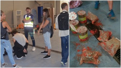Sukces polskiej policji: Dariusz N. wpadł z "puszkami z pomidorami". Nie pomogła zmiana wyglądu 