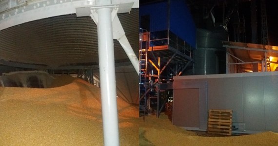 ​Tragedia w Wonieściu w Wielkopolsce. Późnym wieczorem z uszkodzonego silosu wysypała się kukurydza. Ziarno zasypało jednego z pracowników.