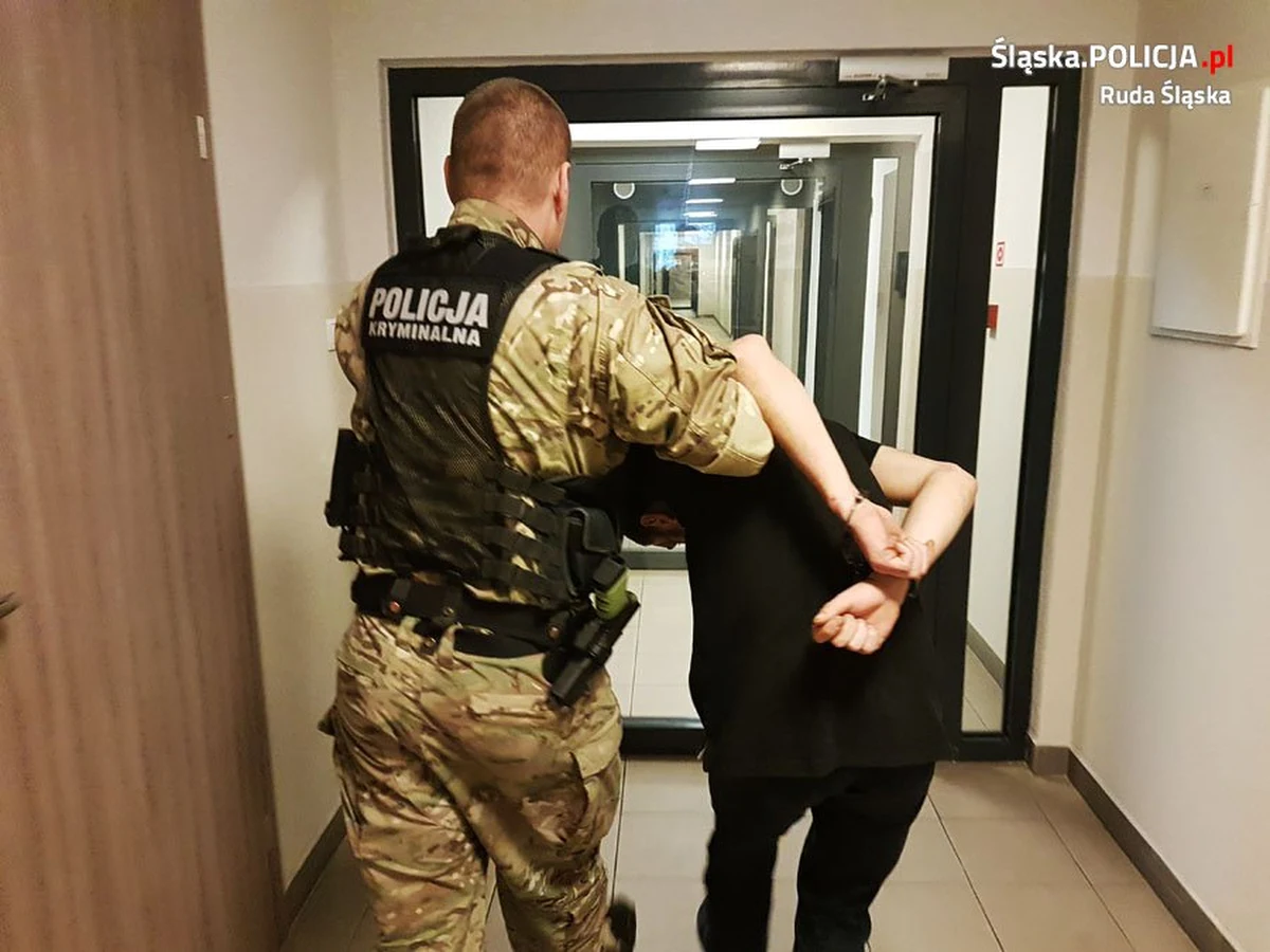 Czterej bracia z Rudy Śląskiej zostali aresztowani przez sąd pod zarzutem czynnej napaści na policjantów. Z butelkami i nożami w rękach zaatakowali funkcjonariuszy, gdy ci zatrzymywali jednego z nich. 
