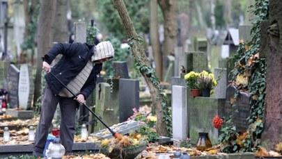 Poznań: Będzie mocno wiało. Cmentarze mogą być czasowo zamykane 