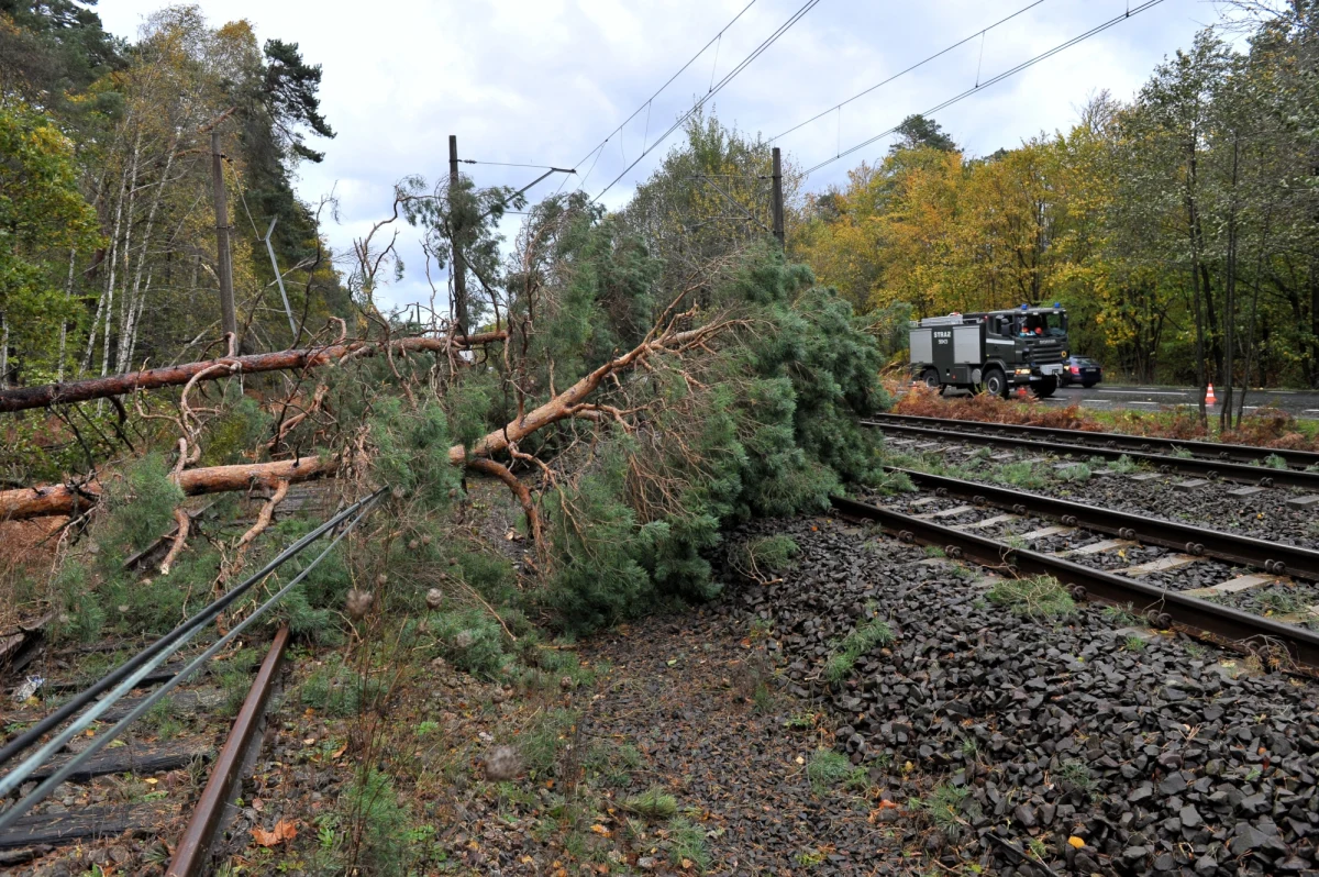 W Wielkopolsce po wichurach strażacy niemal bez przerwy wzywani są do usuwania skutków porywistego wiatru. Ze względów bezpieczeństwa w niedzielę zamknięte jest Stare i Nowe Zoo w Poznaniu. Najwięcej próśb o pomoc strażacy odebrali z rejonu Poznania 
a także okolic Szamotuł, Ostrowa Wielkopolskiego, Nowego Tomyśla i Czarnkowa. 