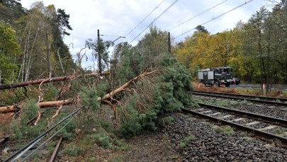 Wielkopolska: Po wichurach brak prądu, uszkodzone budynki  