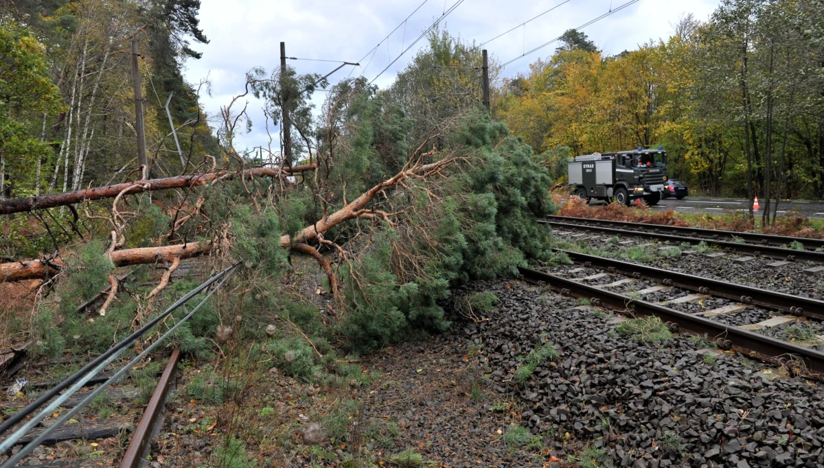 Dwie osoby nie żyją, 16 osób jest rannych, w tym sześciu strażaków - to bilans wichur, które od niedzieli przechodziły nad Polską. Tylko w poniedziałek strażacy wzywani byli do usuwania skutków nawałnic ponad tysiąc razy. Najczęściej w Warmińsko-Mazurskiem.