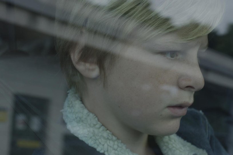 Francuski film "Custody" Xaviera Legranda zdobył nagrodę główną Złotego Anioła 15. Międzynarodowego Festiwalu Filmowego Tofifest w Toruniu. W kategorii filmów krótkometrażowych "Shortcut" zwyciężyła "Nauka" w reżyserii Emi Buchwald.