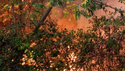 ​W walkę z pożarami w Portugalii włączyli się żołnierze