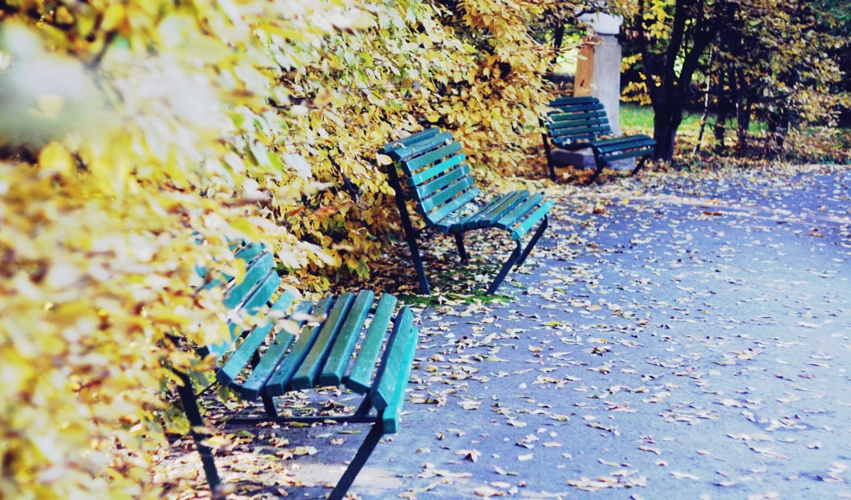 Czeka nas względnie ciepły i bezdeszczowy weekend - wynika z najnowszych prognoz pogody.