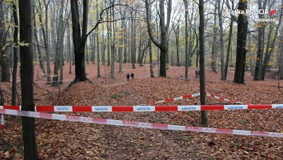 Katowice: Są wyniki sekcji zwłok mężczyzny, którego ciało znaleziono w lesie