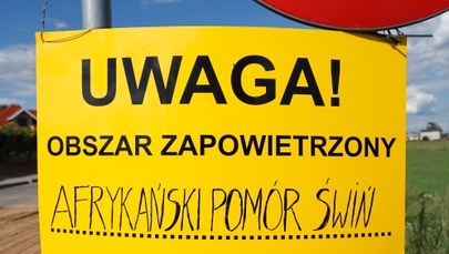 Rosyjsko-białoruska "kontrola" w Polsce. Chodzi o afrykański pomór świń 