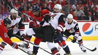 NHL. Trwa fatalna seria Arizona Coyotes 