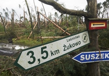 Tragedia na obozie harcerskim: Drogi ewakuacyjne nie były widoczne