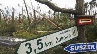 Tragedia na obozie harcerskim: Drogi ewakuacyjne nie były widoczne