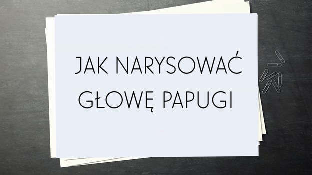 Rysowanie to świetna zabawa - nie tylko dla najmłodszych. Niezwykle popularne w ostatnich latach stały się kolorowanki dla dorosłych - to doskonały sposób na relaks i wyciszenie negatywnych emocji po ciężkim dniu. Jeśli do tej pory uważaliście, że wasze zdolności plastyczne nie są najwyższej próby, zobaczcie nasz poradnik - tym razem dowiecie się, jak narysować głowę papugi. W parę chwil poznacie proste schematy, które pomogą wam potem z powodzeniem odwzorowywać przedmioty na papierze!