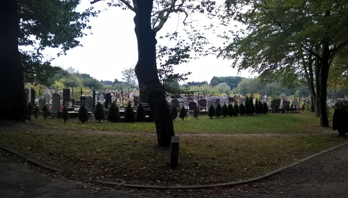 Sukces pomorskiej policji. Jak dowiedział się reporter RMF FM, zatrzymany został "seryjny złodziej ludzkich szczątków". Według nieoficjalnych informacji naszego dziennikarza, mężczyzna mógł okradać groby na Pomorzu nawet od 10 lat. 