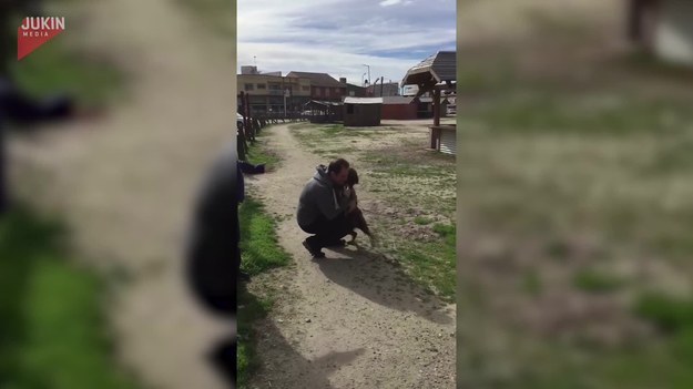 Pakita, bo tak nazywa się ten pies, nie widział się ze swoimi właścicielami niemal 3 lata po tym jak się zgubił i trafił do jednego ze schronisk w Argentynie. Pracownikom udało się odnaleźć właścicieli, który pomogli im się na nowo połączyć. Jak będzie wyglądało ich spotkanie po długiej rozłące?