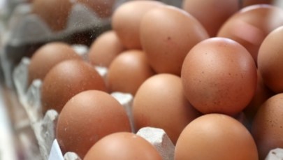 Rolnicy alarmują: Co miesiąc brakuje w handlu 100 mln jajek