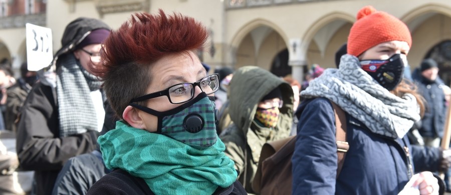 "W sprawie walki ze smogiem rząd nie wywiązuje się z obietnic" - alarmuje Polski Alarm Smogowy. Według organizacji, żaden z 14 punktów deklaracji, które Rada Ministrów przyjęła na początku roku, nie został w pełni zrealizowany. Nie ma m.in. zapowiadanego na kwiecień rozporządzenia o jakości paliw stałych - dotyczącego tego, czym palimy w piecach.