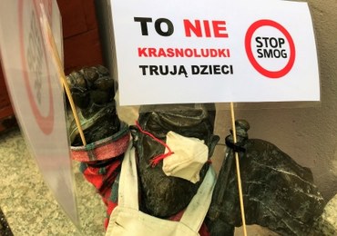 "To nie krasnoludki trują dzieci". Niecodzienna akcja we Wrocławiu