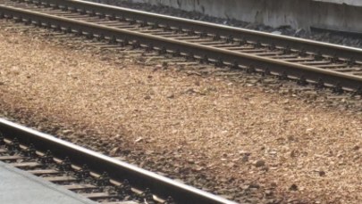 Dolnośląskie: Śmiertelne potrącenie przez pociąg. Zginęła matka z dzieckiem