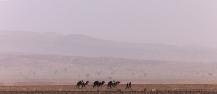 Trzy dni biegów terenowych po Saharze oraz dwa biwaki w namiotach rozbitych na pustyni. To czeka zawodników RMF4RT OCR podczas Runmageddonu Sahara! W połowie marca 2018 roku znajdą się w grupie około 150 entuzjastów biegów ekstremalnych, którzy zmierzą się z wyzwaniami, jakie postawią przed nimi organizatorzy biegu terenowego w południowym Maroku.