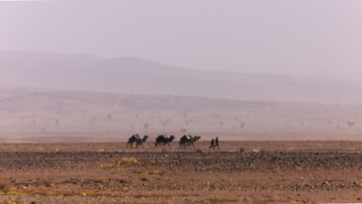 RMF4RT OCR weźmie udział w Runmageddonie na Saharze