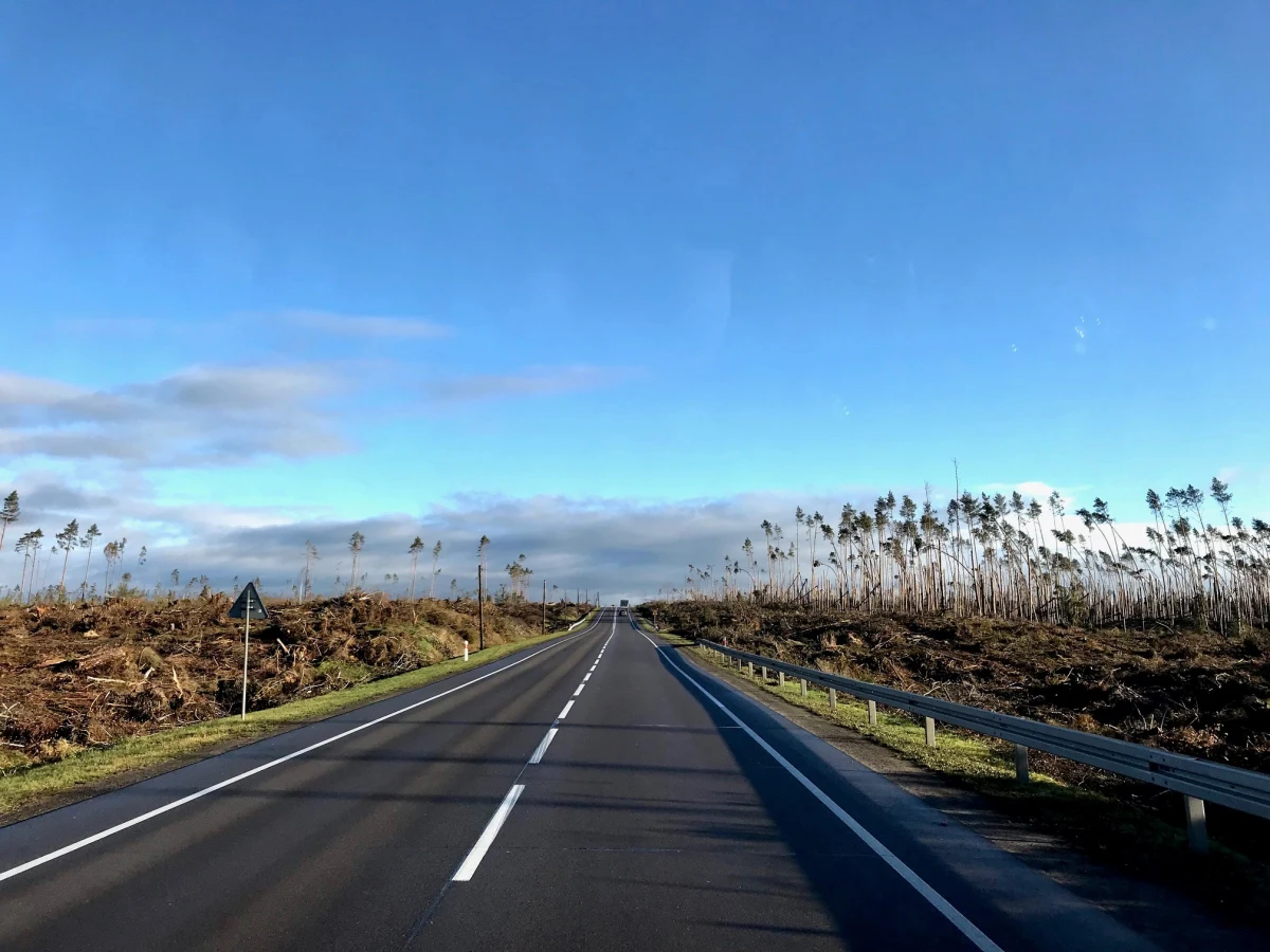 W sierpniu mieszkańcy ponad 170 gmin odczuli skutki potężnych nawałnic. Wtedy Polska usłyszała o Grabicy czy Łasku w Łódzkiem, kujawsko-pomorskim Koronowie i Gostycynie, ale przede wszystkim o Brusach, Chojnicach i Czersku w Pomorskiem. To w tej ostatniej gminie leżą takie miejscowości jak Rytel czy złowrogo brzmiący Suszek, gdzie zginęły dwie nastoletnie harcerki. Prokuratura Okręgowa w Słupsku wciąż bada, czy można było uniknąć tej tragedii.