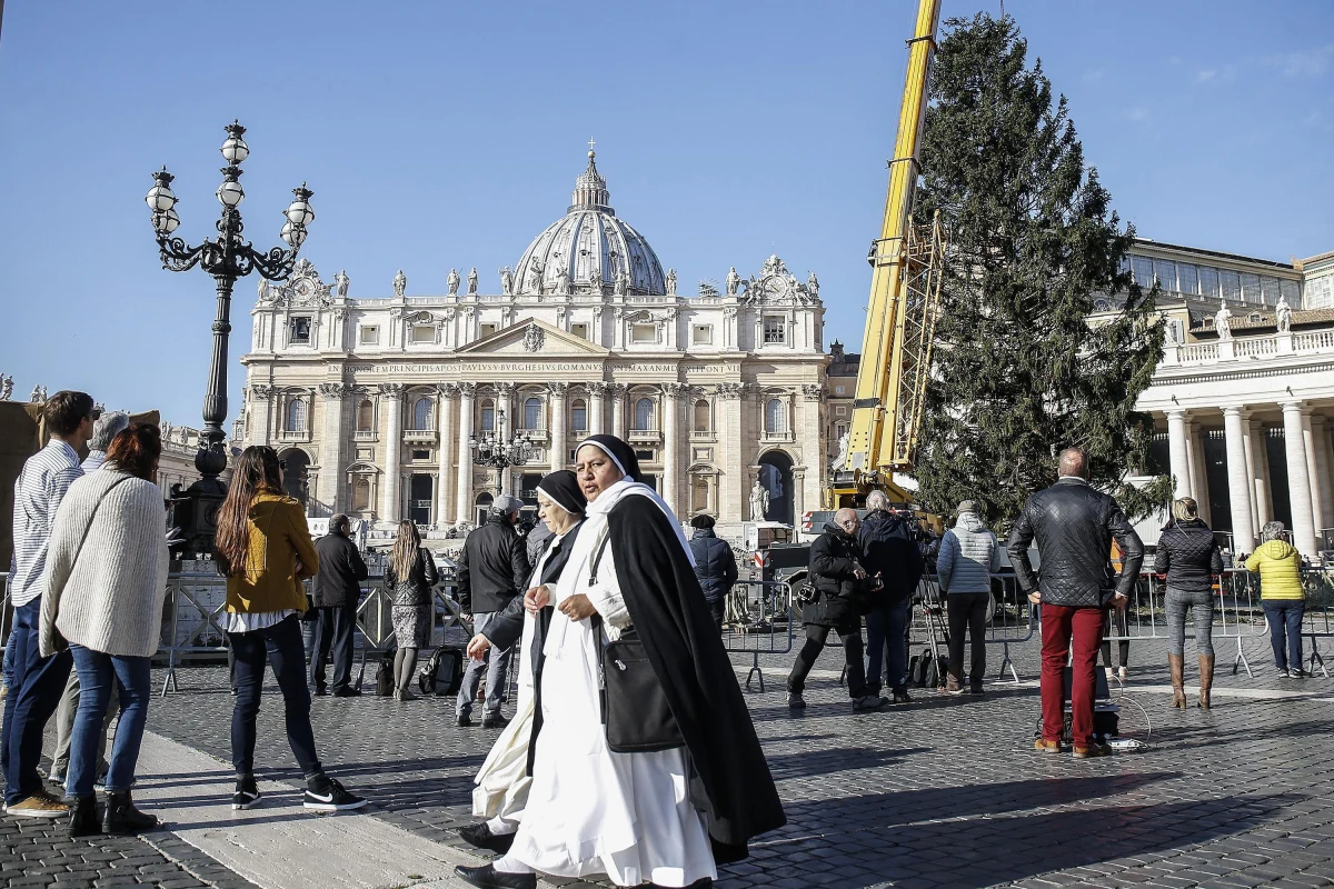 Na placu Świętego Piotra ustawiono w czwartek rano choinkę z Polski; w nocy została przywieziona do Watykanu na specjalnej platformie. Podróż drzewa z okolic Gołdapi trwała 11 dni. Świerk z Puszczy Rominckiej, dar Kościoła w Polsce dla papieża Franciszka, ma około 25 metrów wysokości i waży 1,5 tony.