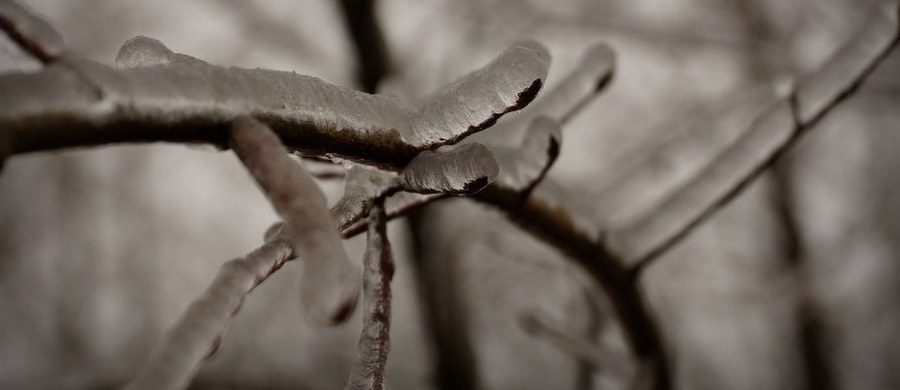 Czekacie z niecierpliwością na śnieg? Musicie uzbroić się w cierpliwość. Dopiero pod koniec tygodnia możecie liczyć na opady białego puchu.