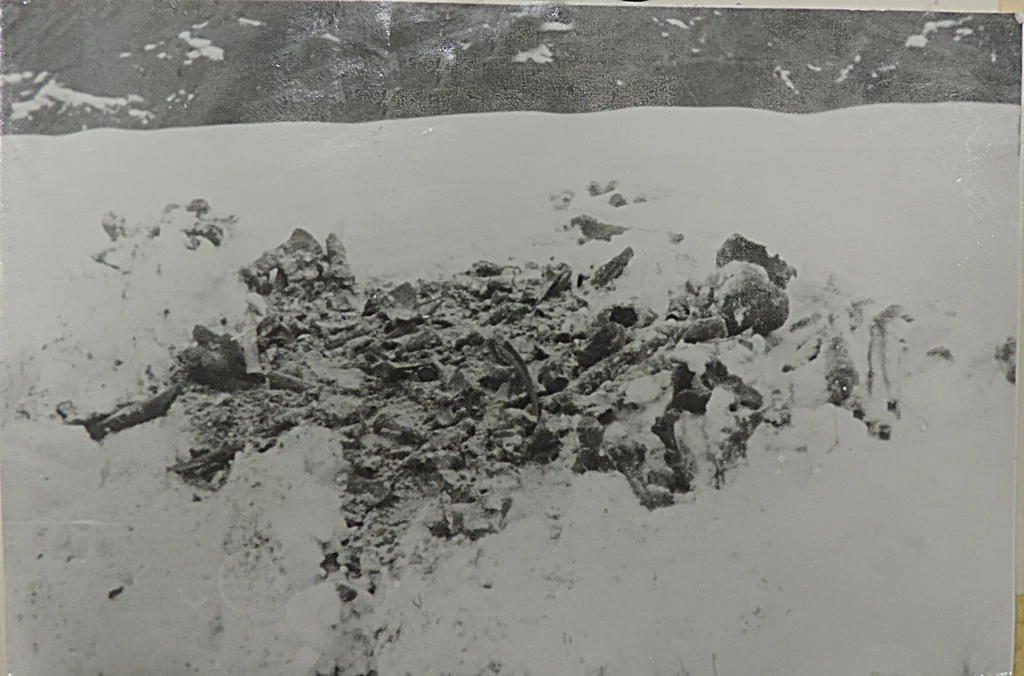 Ostatnia ekshumacja z 1969 r.
