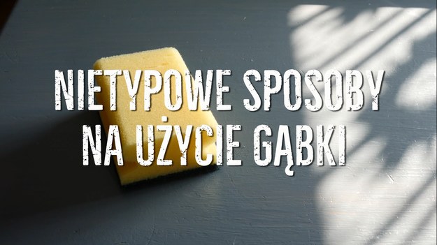 Zwykła gąbka - taka, której używamy do kąpieli, które mamy w naszych kuchniach czy garażach, ma mnóstwo zastosowań - wbrew pozorom, nie musi być zwykłym zmywakiem, który pomoże usunąć brud. Poznajcie nasze interesujące sposoby, jak jeszcze możecie wykorzystać gąbkę!