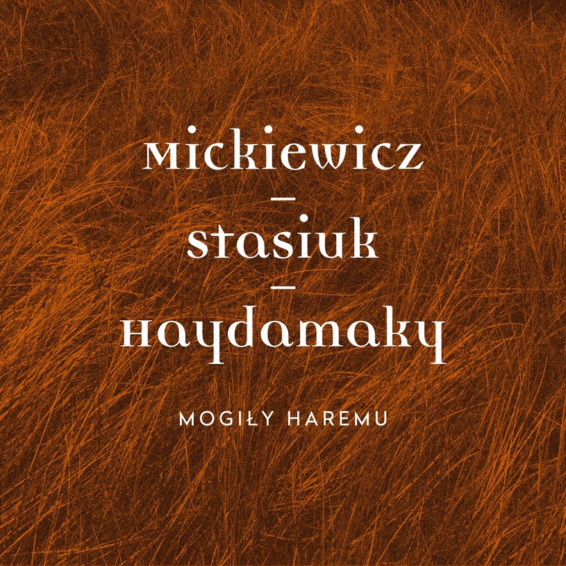 Na początku 2018 r. ukaże się płyta projektu "Mickiewicz-Stasiuk-Haydamaky", na której ciesząca się sporym uznaniem w Polsce ukraińska ethno-rockowa formacja Haydamaky wraz z pisarzem Andrzejem Stasiukiem sięgnęli do poezji Adama Mickiewicza.