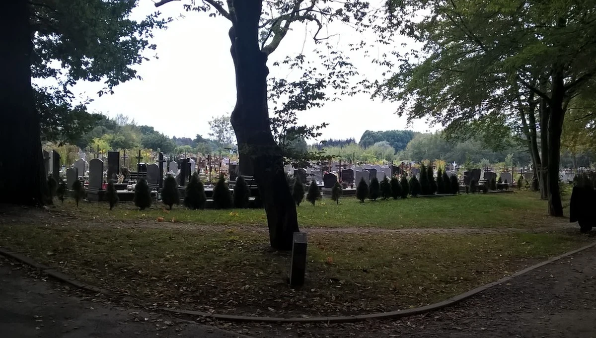 Policja odnalazła w Gdańsku kolejne szczątki, które mogą pochodzić z okradanych w ostatnich latach grobów zlokalizowanych głównie na terenie Pomorskiego. Jak nieoficjalnie dowiedział się reporter RMF FM Paweł Balinowski, zakopano je w okolicach przystanku PKM Brętowo. O zbezczeszczenie miejsc pochówku poprzez kradzież szczątków podejrzany jest 54-letni gdańszczanin. Mężczyzna został zatrzymany w pierwszych dniach listopada. Wówczas policja przedstawiła mu sześć zarzutów związanych ze zbezczeszczeniem miejsc pochówku. 