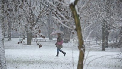 Śnieżyce w Polsce: Ok. 2 tys. interwencji strażaków, kilkadziesiąt tys. osób bez prądu