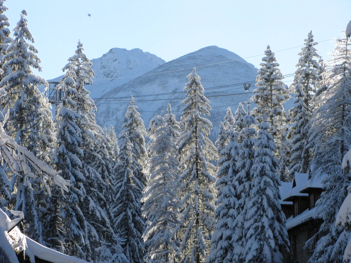 Opady śniegu i mróz pozwoliły na uruchomienie w sobotę, po raz pierwszy tej zimy, trasy narciarskiej w Kotle Gąsienicowym w Tatrach. Tym samym sezon narciarski wystartował dość wcześnie. Pokrywa śnieżna na trasie narciarskiej w Kotle Gąsienicowym waha się od 50 do 148 cm. Trasa jest przygotowana przez ratraki. Aby dostać się na słynny narciarski szlak należy wyjechać kolejką linową z Kuźnic na Kasprowy Wierch. Trasa rozpoczyna się od wierzchołka góry i ciągnie się w kierunku Hali Gąsienicowej. Nieczynna jest jeszcze nartostrada prowadząca z Hali Gąsienicowej do Kuźnic, dlatego aby wrócić na dół, należy ponownie zjechać główną kolejką linową.