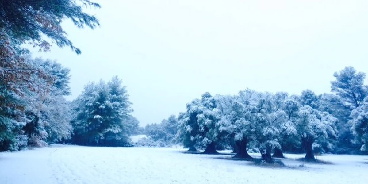 Południową Francję sparaliżowały nagłe śnieżyce. Niezliczone odcinki dróg i autostrad zostały zamknięte dla ruchu – m.in. pomiędzy Niceą Marsylią. Część pociągów przestała kursować, a wiele innych ma opóźnienia. 