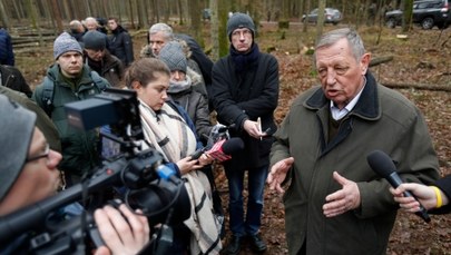 Szyszko: Ogromna pomyłka, niezrozumienie tego, co dzieje się w Puszczy Białowieskiej