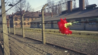 Rozszyfrowano zapiski więźnia Auschwitz. "Byli upychani jak sardynki, cierpieli przez kilka minut"
