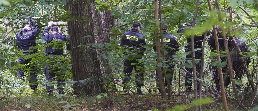 W Gdańsku ruszyły dziś kolejne poszukiwania ciała Iwony Wieczorek. Kilkudziesięciu policjantów przeczesuje teren dawnych działek w pasie nadmorskim. To nieopodal miejsca, w którym w lipcu 2010 roku zaginęła 19-latka.