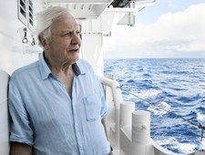 Attenborough i morski smok