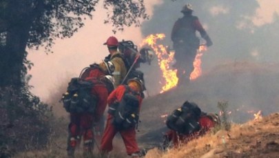 Pożary w Kalifornii. "Żywioł zagraża tysiącom domów"