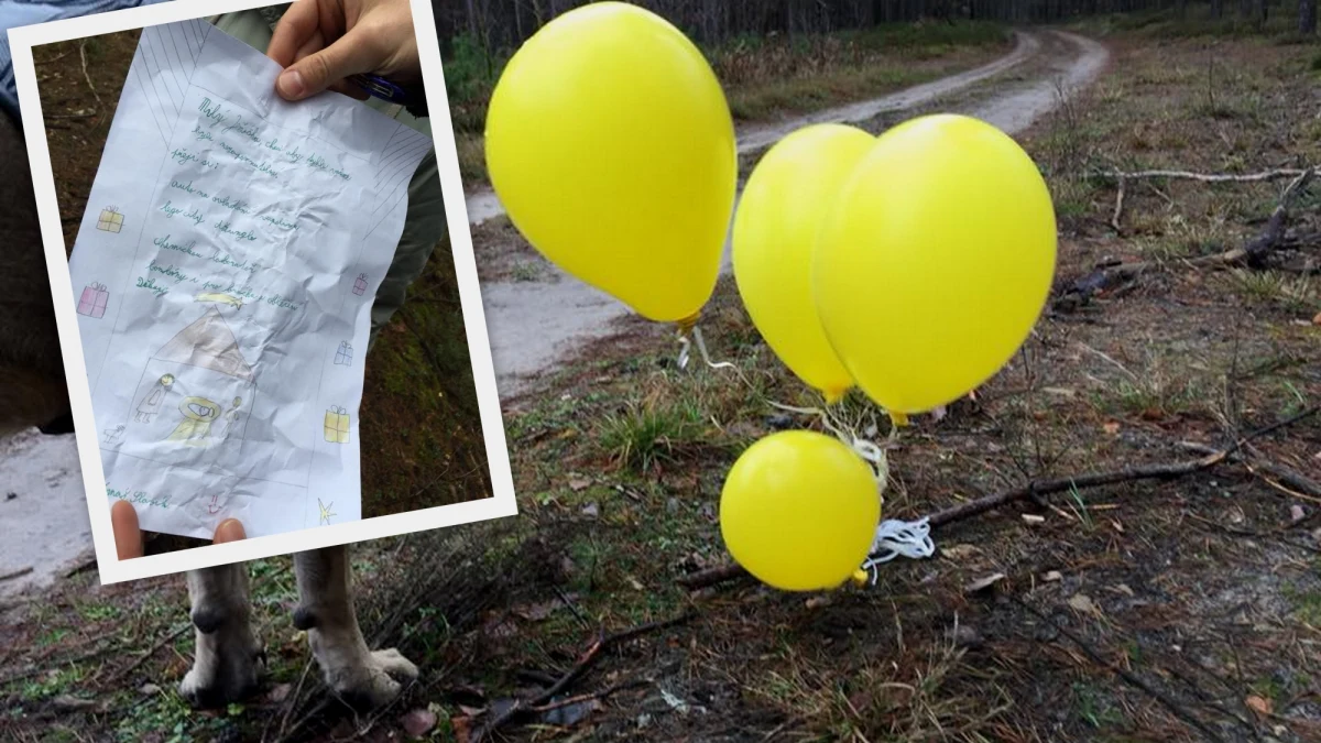 ​Listy od dzieci nie zawsze trafiają do adresatów. Pewien chłopiec z Czech napisał list do Jezuska z prośbą o prezenty na Boże Narodzenie i przywiązał wiadomość do czterech żółtych balonów. List znaleziono obok Poznania. 