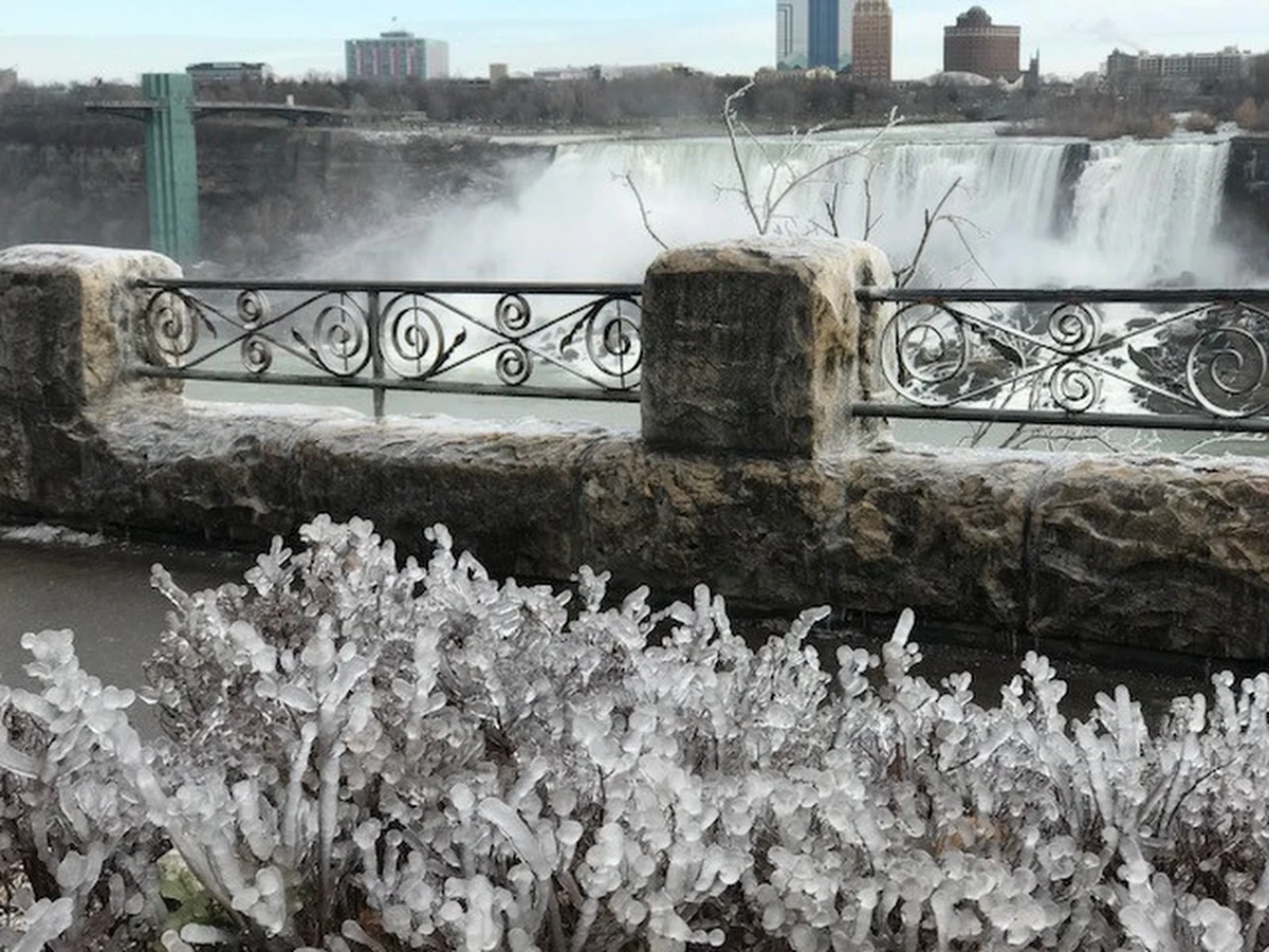 Wodospad Niagara pięknie prezentuje się o każdej porze roku. Zimą jednak pył wodny zamarza na okolicznych drzewach i krzewach tworząc lodowe dekoracje. Nad Niagarą temperatura spadła poniżej zera tworząc pierwsze w tym sezonie zimowe wzory. 